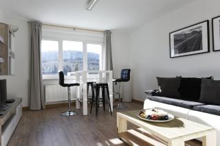 Oberwiesenthal Apartments - 4