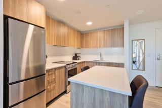 Luxury Apt with Kitchen in Fenway - 9