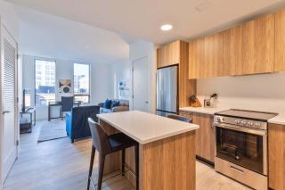 Luxury Apt with Kitchen in Fenway - IDL-524 - Boston - 6