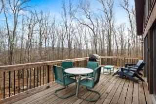 Grill Fire Pit WiFi Deck Hammock Games & Dogs - Morton Grove - 8