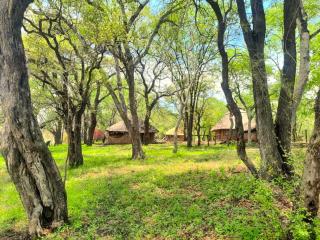 River Range Camp - Pandamatenga - 0