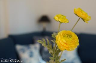 Villa Fortuna Gästehaus App Rügen - 4