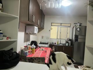 Apartamento 3 quartos - Ananindeua - 1