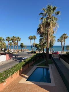 Lemon Playa - Málaga - 4
