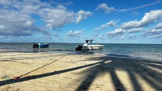Casa Ballenas3 SF - Las Terrenas - 7