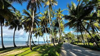 Casa Ballenas3 SF - Las Terrenas - 9