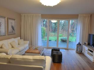 Holiday house dune forest b - Dierhagen - 0