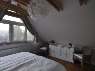 Holiday house dune forest b - Dierhagen - 2