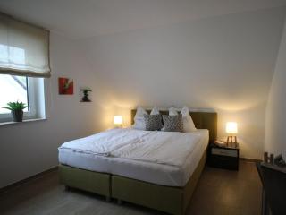 Casa Fortuna Modern retreat - Göhren-Lebbin - 2