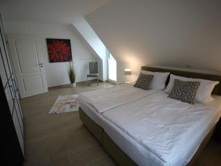 Casa Fortuna Modern retreat - Göhren-Lebbin - 3