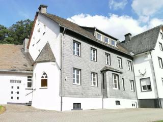 Holiday apartment hunting lodge Siedlinghausen 1 - Winterberg - 0