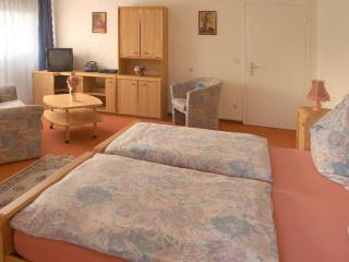 Moselblick" Modern retreat" - Neumagen-Dhron - 4