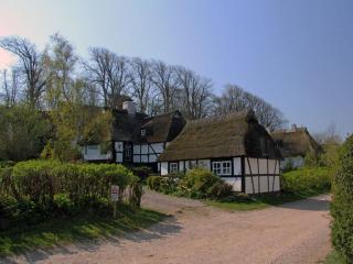 Ferienhaus Svala - Schönhagen - 8