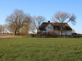 Poppenbüll thatched house - Osterhever - 0