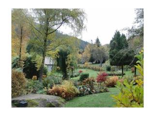 Le Sine Nomine Comfortable holiday residence - Klingenthal - 0