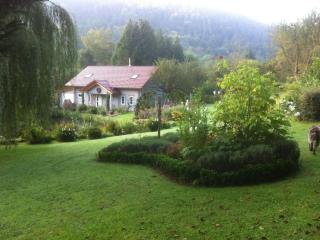 Le Sine Nomine Comfortable holiday residence - Klingenthal - 5