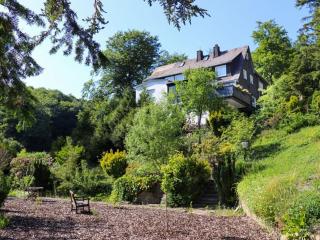 The Waldhaus Modern retreat - Neerdar - 9
