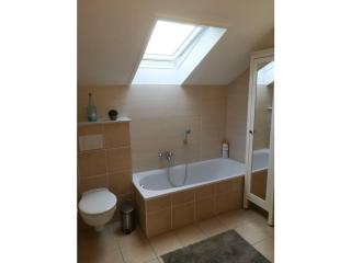 Seagull Street 21 Merchant - 1