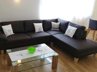 Beech Modern Retreat - 1