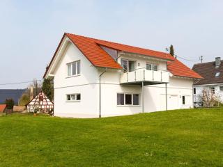 Beech Modern Retreat - Hödingen - 5