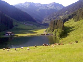 Heualm - Hopfgarten im Brixental - 8