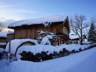 Holzchalet Tauplitz - Tauplitz - 0