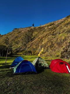 The Frailejon Mountain - Sigchos - 3
