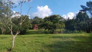 Glasshouse with river - San Rafael - 9
