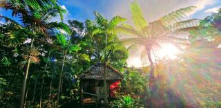 Lava view Bungalows - Isaka - 7
