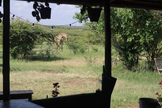 Kambu Mara Camp - Sekenani - 2