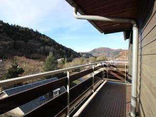 Charmant F2 avec balcon ouest, parking et ascenseur, à 650m des thermes et commerces, classé 2 étoiles** - FR-1-415-7 - Le Mont-Dore - 1