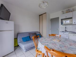 T2 cabine à 250 m de la plage à Biscarrosse avec balcon plein sud et parking - FR-1-521-246 - 8