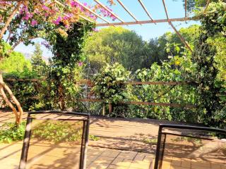 Appartement 3 pièces avec jardin, proche du port et du centre, idéal pour vacances à Banyuls-sur-Mer - FR-1-309-465 - Banyuls-sur-Mer - 0