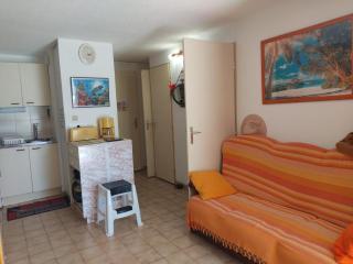 Appartement T2 Climatisé à Gruissan - Piscine, Plage, Parking & Terrasse - Idéal Familles 4/5 pers. - FR-1-796-45 - Gruissan - 3