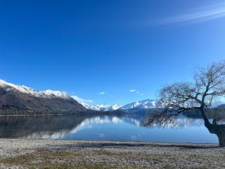 Aspiring Lodge Motel - Wanaka - 6