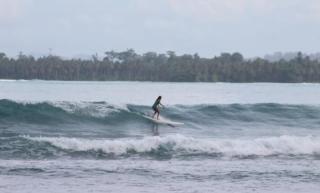 sunsetlodge Mentawai - Masokut - 9