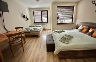 Borovets Gardens Chill Hill Studio by Joro - 8