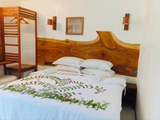 Turtle Hive - Velaa Vani - Dhiffushi - 1