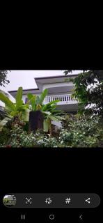 Gigi's Self Catering Apartment - Port Glaud - 2