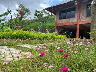 Thung Đin Homestay - Nho Quan - 6