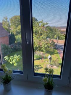 Pension Grunwald - 8