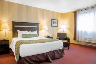 Quality Inn and Conference Centre - Pembroke - 1