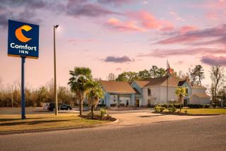 Comfort Inn - Livingston - 8