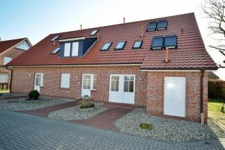 Muschelsucher - Norddeich - 2