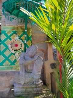Ananda JJ Ubud Resort & Spa - Ubud - 8