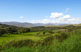 U Caseddu Di Minnana - Petreto-Bicchisano - 4