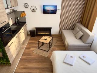 Coco Kop studio - Kopaonik - 6