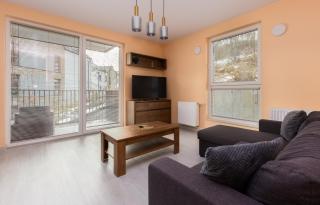 Verdant Haven Apartment - Danzig - 8
