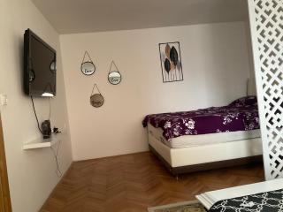Apartment Garaplina no 1 - Sarajevo - 9