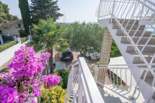 Apartments in Biograd na Moru 8034 - Biograd na Moru - 5